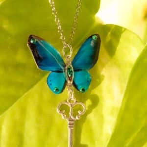 "Clé des Ailes Bleues"